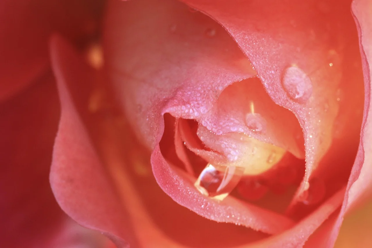 Dior and Sensitive Skin: INCI Analysis and the Truth